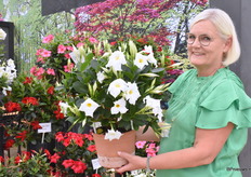 Helle Graff met de Q-deville series. Deze serie heeft sterke genetica. Uitzondelijk voor deze mandevilla’s is dat ze geen ondersteuning nodig hebben. Mede daardoor is er zoveel belangstelling voor deze serie dat ze de productie hebben moeten opschalen om de vraag uit de markt bij te kunnen benen.